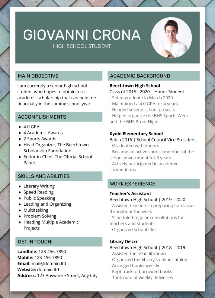 CV For Scholarship Free Google Docs Template