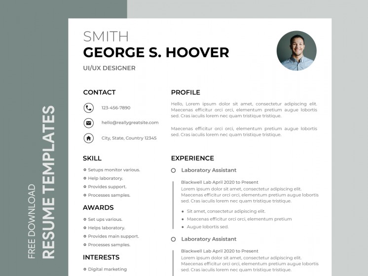 Professional Elite Resume