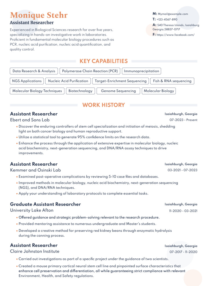 Basic Resume Free Google Docs Template