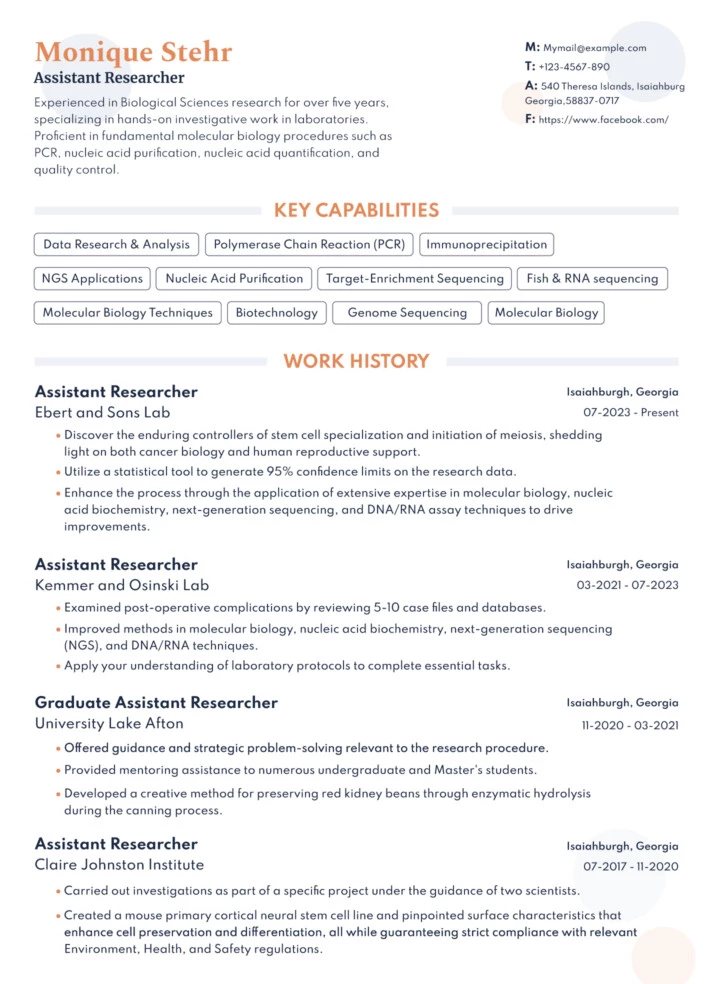 Basic Resume Free Google Docs Template
