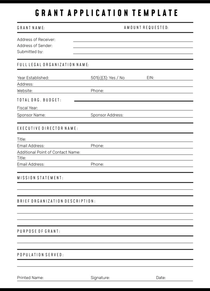 Grant Application Free Google Docs Template