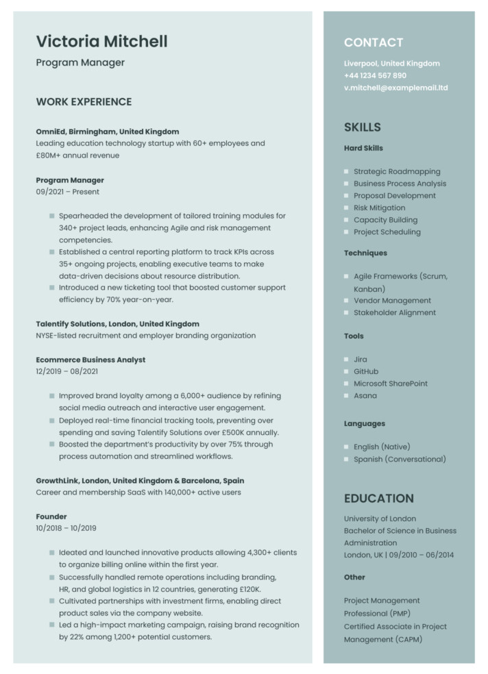 Program Manager Resume Free Google Docs Template