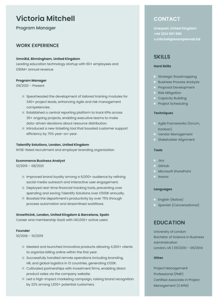 Program Manager Resume Free Google Docs Template