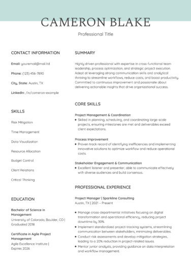Skills Based Smart Resume Free Google Docs Template