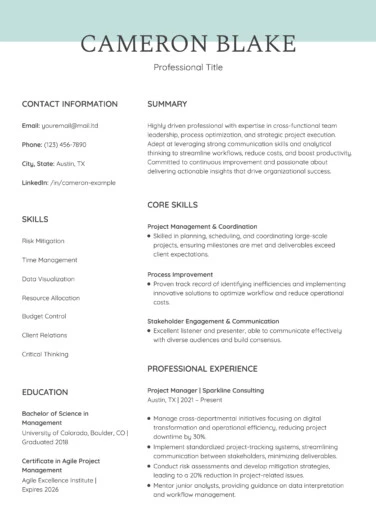 Skills Based Smart Resume Free Google Docs Template
