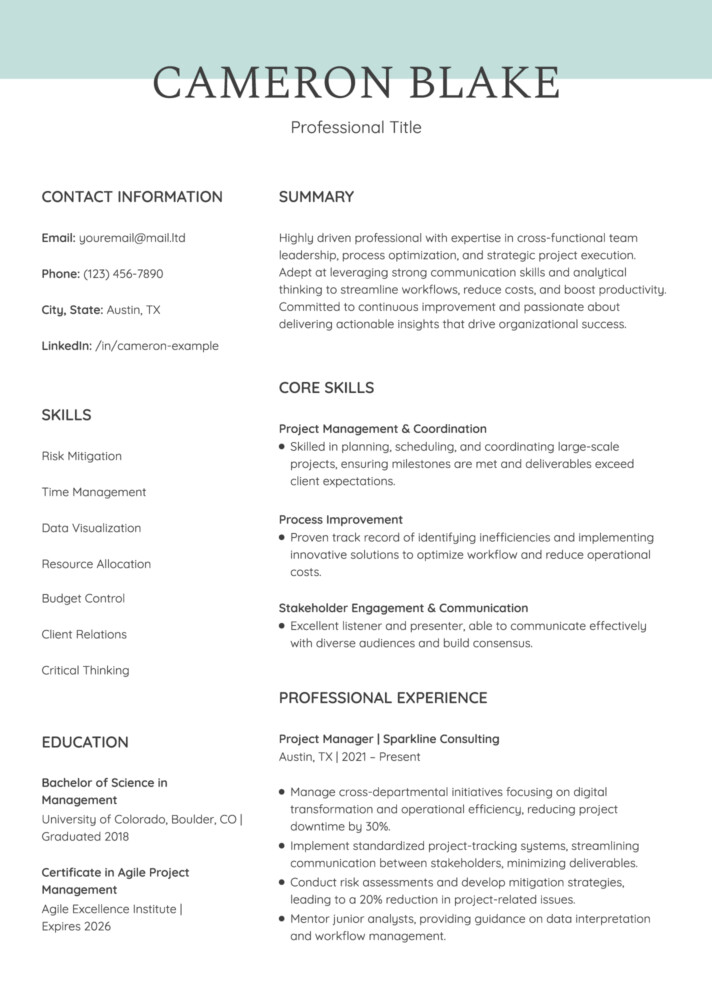 Skills Based Smart Resume Free Google Docs Template