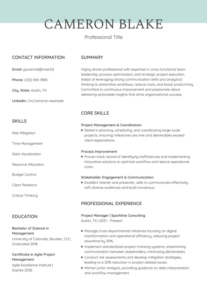 Skills Based Smart Resume Free Google Docs Template