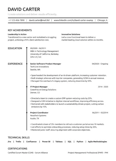 Traditional Resume Free Google Docs Template